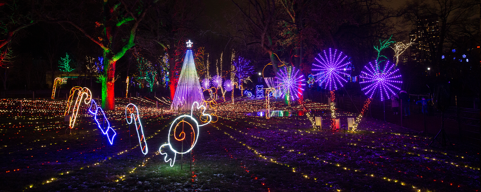 Lincoln Park ZooLights