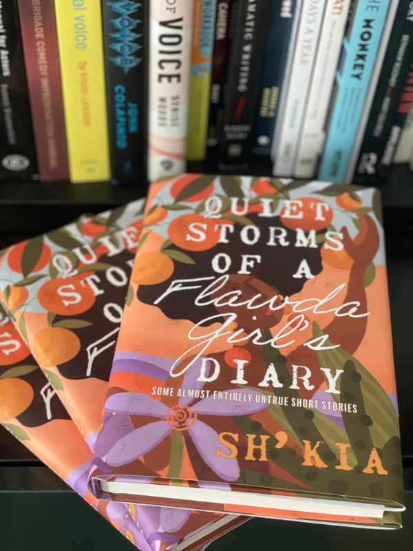 Quiet Storms of a Florida Girl's Diary book cover